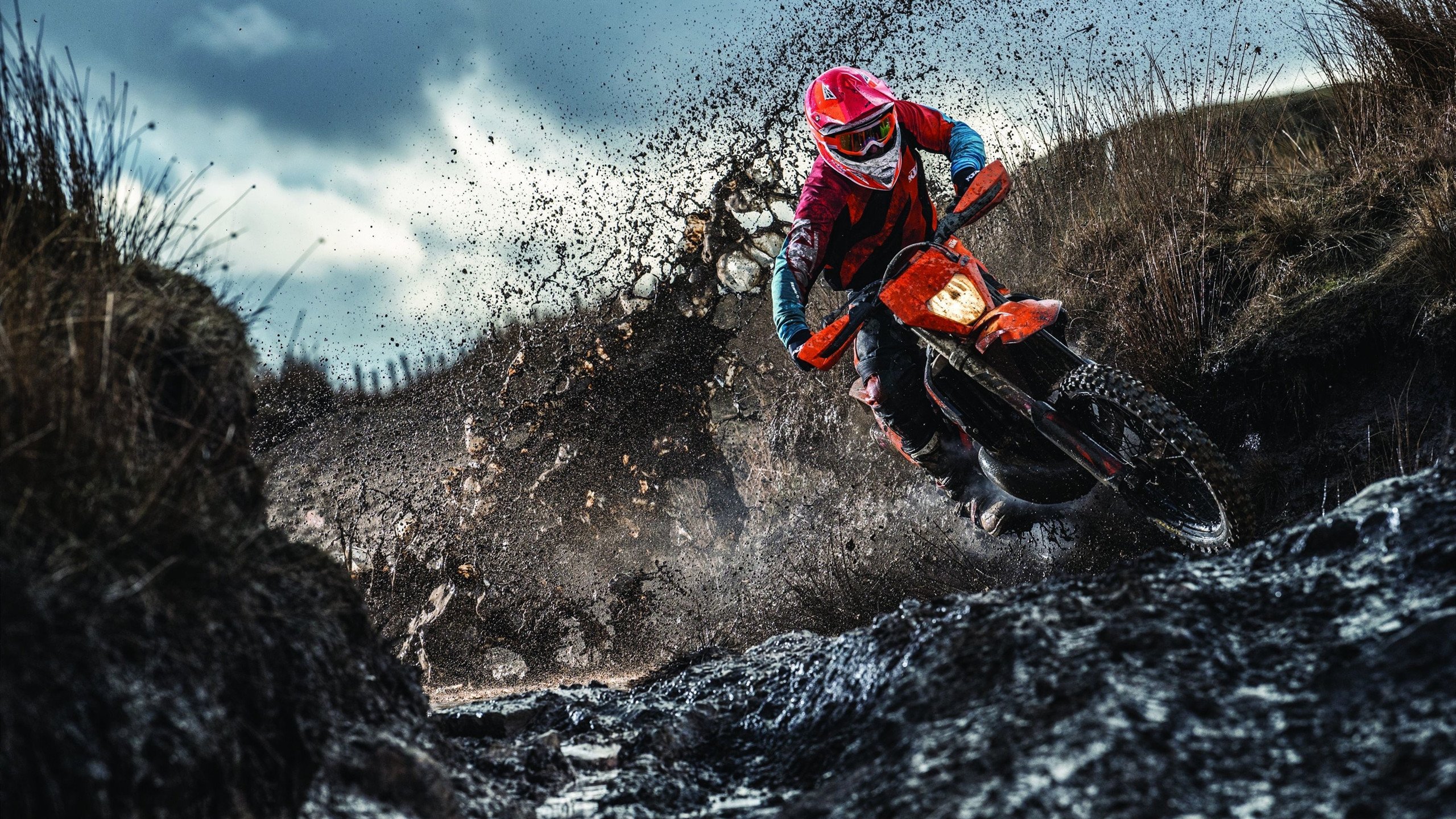 恩比德打出冠军级表现！鹈鹕火力全开，23分碾压公牛，季后赛格局要变？